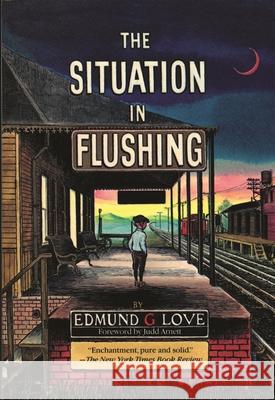 The Situation in Flushing Edmund G. Love 9780814319178 Wayne State University Press - książka