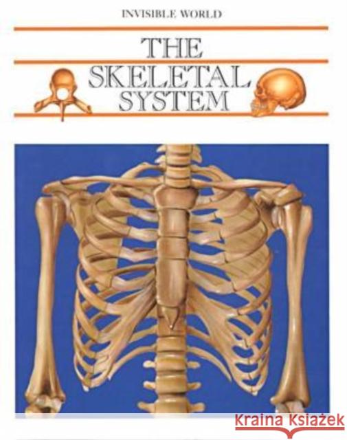 The Skeletal System Edward Avnau 9780791031513 Chelsea House Publications - książka