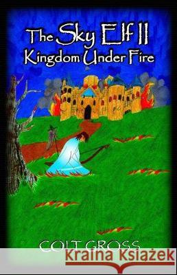 The Sky Elf 2 Kingdom Under Fire Colt Gross Elaina Hancock Lava House Media 9781974541263 Createspace Independent Publishing Platform - książka