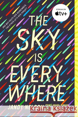 The Sky Is Everywhere Jandy Nelson 9780142417805 Speak - książka