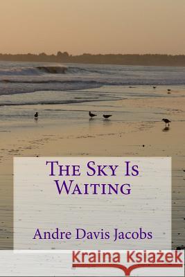 The Sky Is Waiting Andre Davi 9781508739005 Createspace - książka