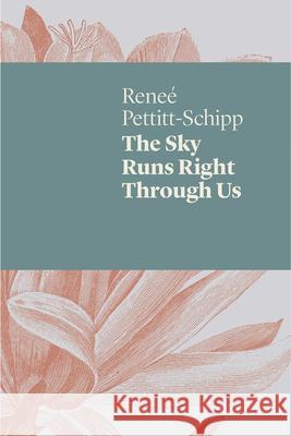 The Sky Runs Right Through Us Rene Pettitt-Schipp 9781742589596 Uwap Poetry - książka