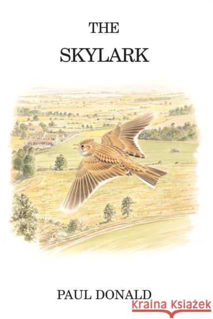 The Skylark Paul Donald 9780713665680 Bloomsbury Publishing PLC - książka