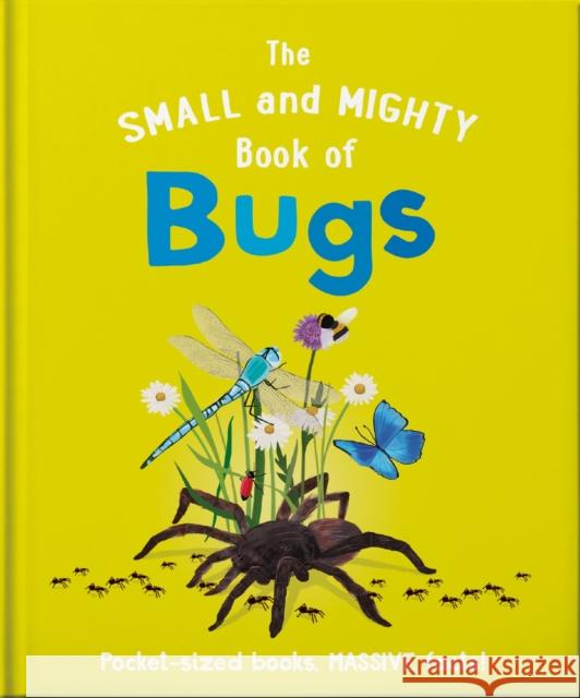 The Small and Mighty Book of Bugs: Pocket-sized books, MASSIVE facts! Catherine Brereton 9781839351716 Welbeck Publishing Group - książka