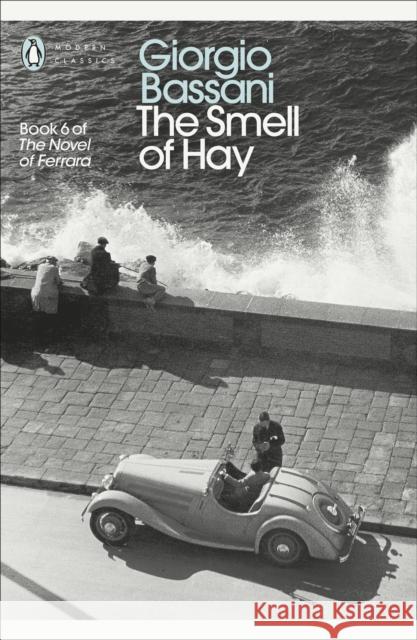 The Smell of Hay Giorgio Bassani 9780141192123 PENGUIN GROUP - książka