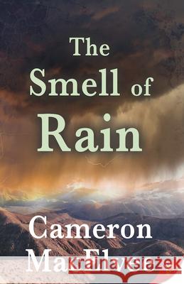 The Smell of Rain Cameron Macelvee 9781635551662 Bold Strokes Books - książka