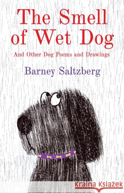 The Smell of Wet Dog: And Other Dog Poems and Drawings Barney Saltzberg 9780823456390 Neal Porter Books - książka