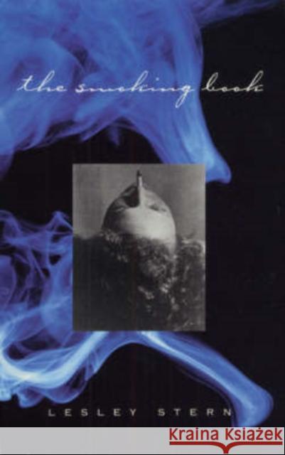 The Smoking Book Lesley Stern 9780226773339 University of Chicago Press - książka