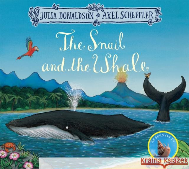 The Snail and the Whale Donaldson Julia 9781509812523 Pan Macmillan - książka