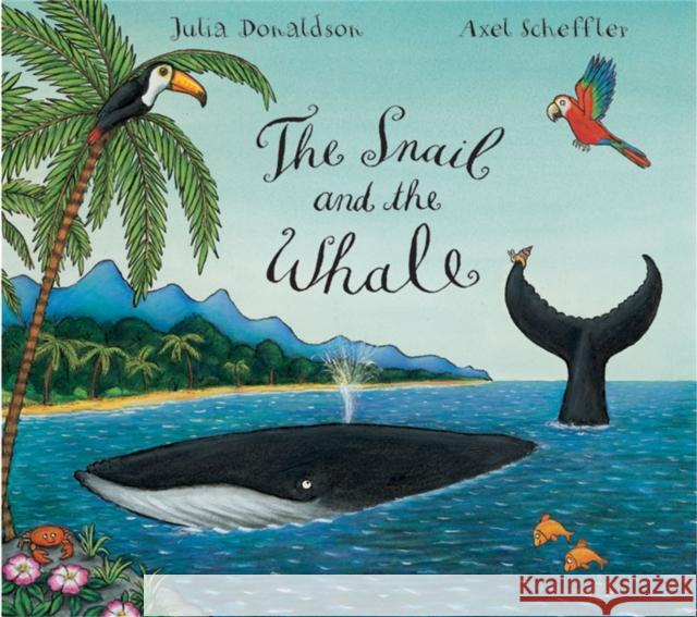 The Snail and the Whale Big Book Julia Donaldson 9780230013889 Pan Macmillan - książka
