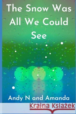 The Snow Was All We Could See Andy N Amanda Steel  9798751018528 Independently Published - książka