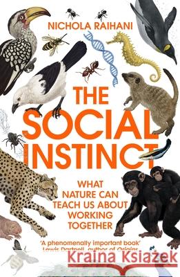 The Social Instinct: What Nature Can Teach Us About Working Together Nichola Raihani 9781529112122 Vintage Publishing - książka