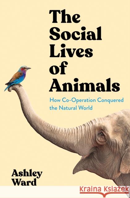 The Social Lives of Animals: How Co-operation Conquered the Natural World Ward, Ashley 9781788168847 Profile Books Ltd - książka