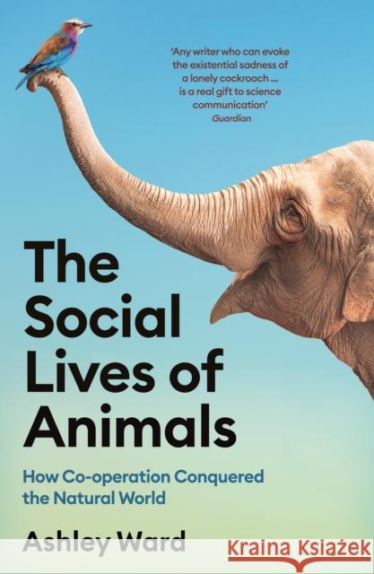 The Social Lives of Animals: How Co-operation Conquered the Natural World Ward, Ashley 9781788168854 Profile Books Ltd - książka