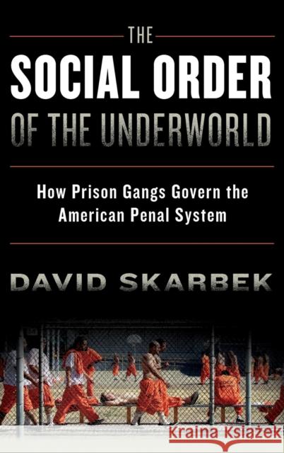 The Social Order of the Underworld Skarbek 9780199328499 Oxford University Press, USA - książka