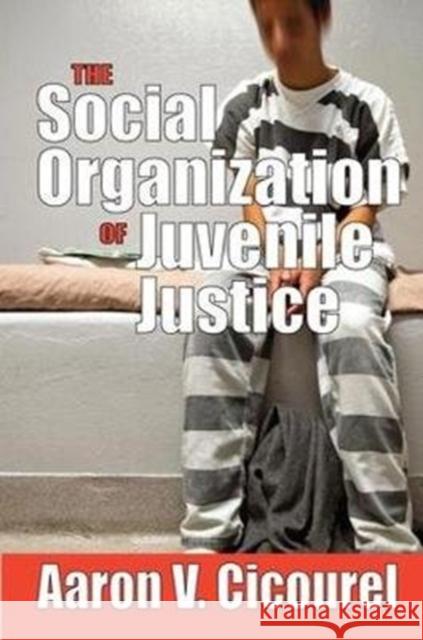 The Social Organization of Juvenile Justice Aaron Cicourel 9781138538603 Routledge - książka