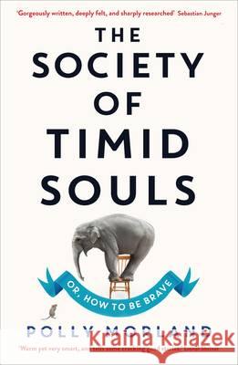 The Society of Timid Souls Morland, Polly 9781846685149 PROFILE BOOKS - książka