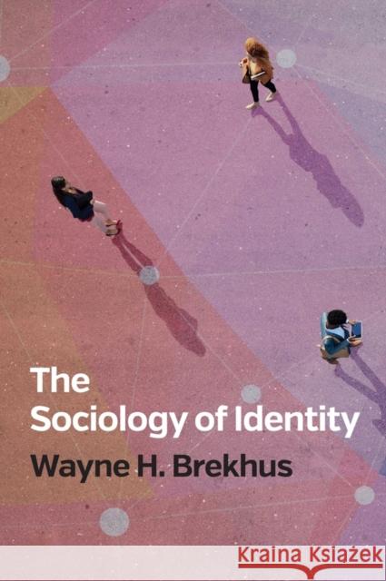 The Sociology of Identity: Authenticity, Multidimensionality, and Mobility Brekhus, Wayne H. 9781509534807 Polity Press - książka
