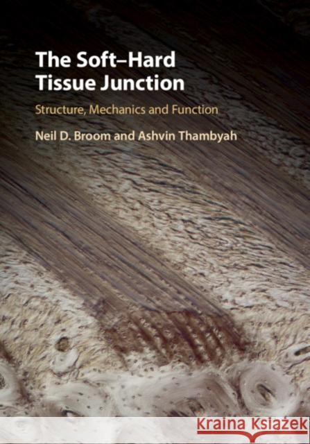 The Soft-Hard Tissue Junction: Structure, Mechanics and Function Neil D. Broom Ashvin Thambyah 9781107137868 Cambridge University Press - książka