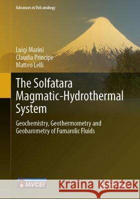 The Solfatara Magmatic-Hydrothermal System: Geochemistry, Geothermometry and Geobarometry of Fumarolic Fluids Marini, Luigi 9783030984700 Springer International Publishing - książka