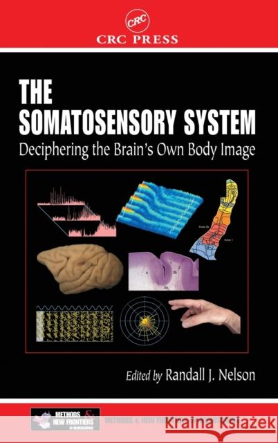 The Somatosensory System: Deciphering the Brain's Own Body Image Nelson, Randall J. 9780849323362 CRC Press - książka