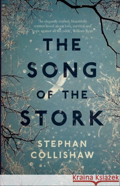 The Song of the Stork: a story of love, hope and survival Collishaw, Stephan 9781785079191 Legends Press - książka