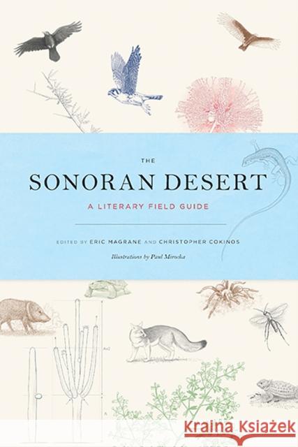 The Sonoran Desert: A Literary Field Guide Eric Magrane Christopher Cokinos Paul Mirocha 9780816531233 University of Arizona Press - książka