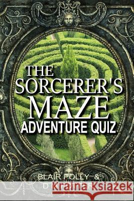 The Sorcerer's Maze Blair Polly DM Potter 9781545557228 Createspace Independent Publishing Platform - książka