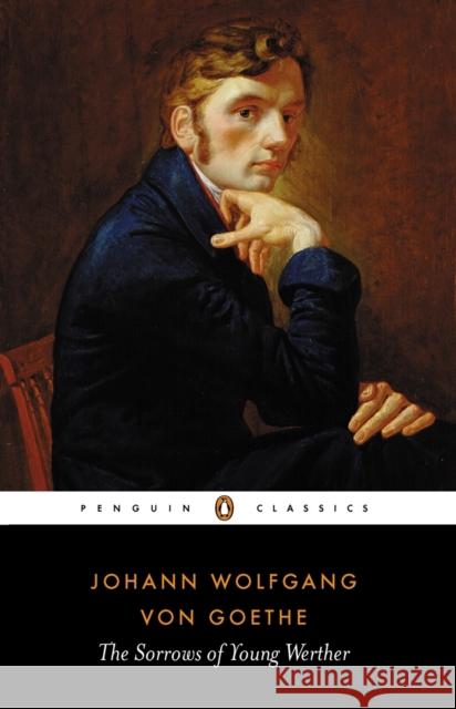 The Sorrows of Young Werther Johann Wolfgang Von Goethe 9780140445039 Penguin Books Ltd - książka