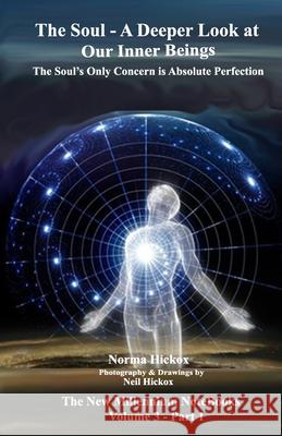 The Soul - A Deeper Look at Our Inner Beings: The Soul's Only Concern is Absolute Perfection Hickox, Neil 9781725937994 Createspace Independent Publishing Platform - książka