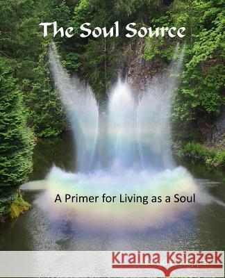 The Soul Source - A Primer for Living as a Soul 032717 David E. Hopper 9781544978529 Createspace Independent Publishing Platform - książka