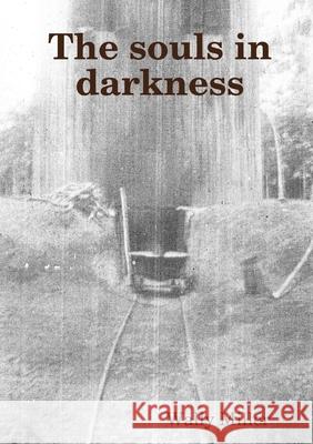 The souls in darkness Wally Miller 9781447861980 Lulu Press Inc - książka