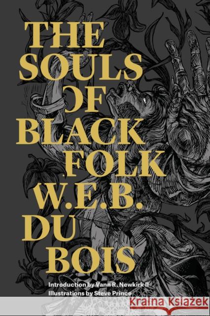The Souls of Black Folk W. E. B. D Steve Prince Vann Newkirk 9781632060976 Restless Books - książka