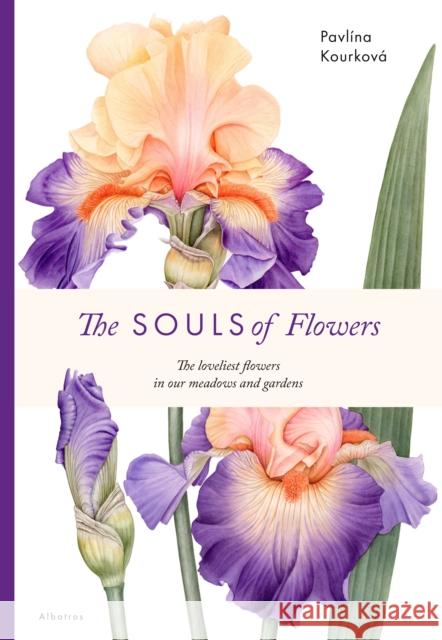The Souls of Flowers Klara Mandausova 9788000071008 Albatros Media - książka