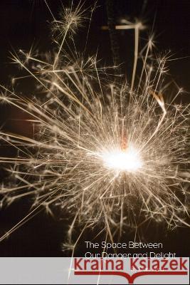 The Space Between Our Danger And Delight Dan Vera 9780615253718 Beothuk Books - książka