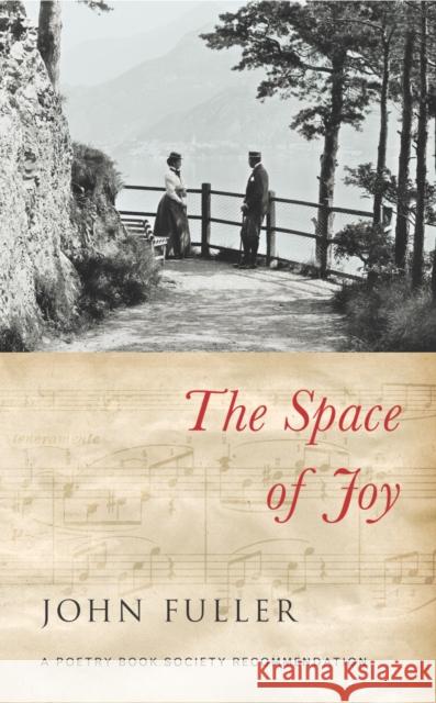 The Space of Joy John Fuller 9780701181109 Random House UK - książka