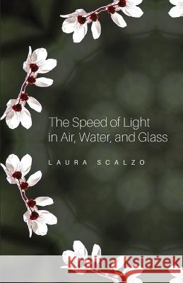 The Speed of Light in Air, Water, and Glass Laura Scalzo 9781732694002 One One Two Press - książka