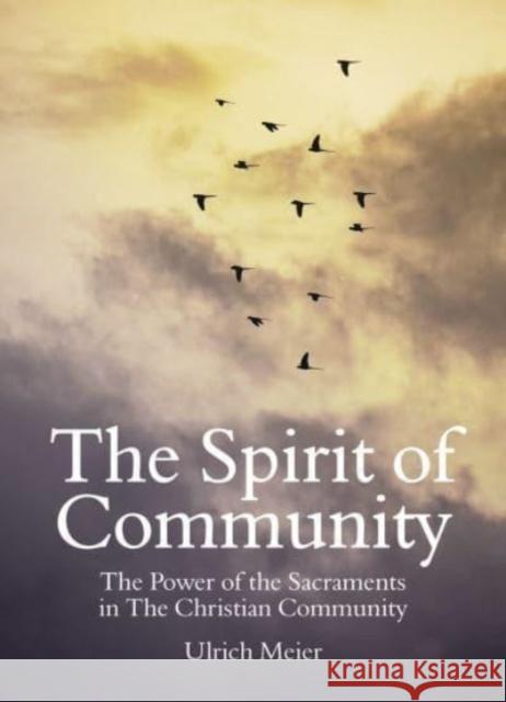 The Spirit of Community: the Power of the Sacraments in The Christian Community Ulrich Meier 9781782508960 Floris Books - książka