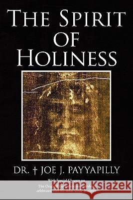 The Spirit of Holiness Joe J. Payyapilly D 9781450097093 Xlibris Corporation - książka