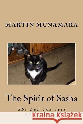 The Spirit of Sasha Mr Martin McNamara 9781974035755 Createspace Independent Publishing Platform - książka