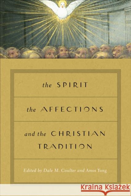 The Spirit, the Affections, and the Christian Tradition Dale M. Coulter Amos Yong 9780268100049 University of Notre Dame Press - książka