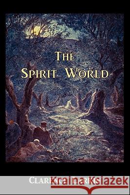 The Spirit World Clarence Larkin 9781891396694 Martino Fine Books - książka