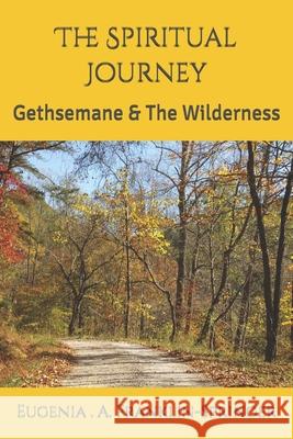 The Spiritual Journey: Gethsemane & The Wilderness Franklin-Springer, Eugenia A. 9781482622997 Createspace - książka