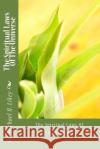 The Spiritual Laws Of The Universe Likey Ph. D., Michael H. 9781512202519 Createspace