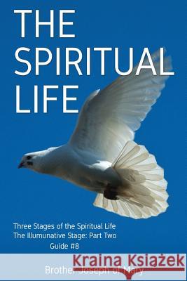 The Spiritual Life: Three Stages of the Spiritual Life: The Illuminative Stage: Part Two: guide #8 in series. Mary, Brother Joseph of 9781793222725 Independently Published - książka