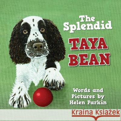 The Splendid Taya Bean Helen Parkin 9781527281011 Nielsen ISBN Store - książka