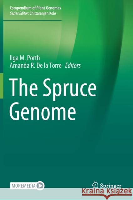 The Spruce Genome Ilga Porth Amanda d 9783030210007 Springer - książka