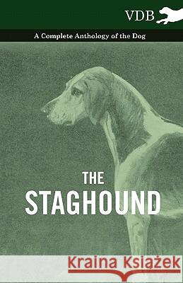 The Staghound - A Complete Anthology of the Dog Various (selected by the Federation of Children's Book Groups) 9781445526645 Read Books - książka