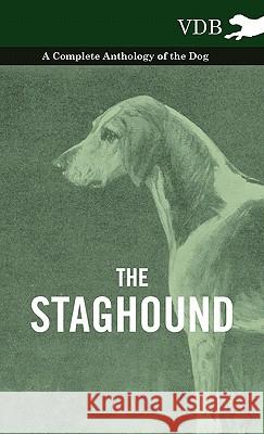 The Staghound - A Complete Anthology of the Dog Various 9781445527840 Vintage Dog Books - książka