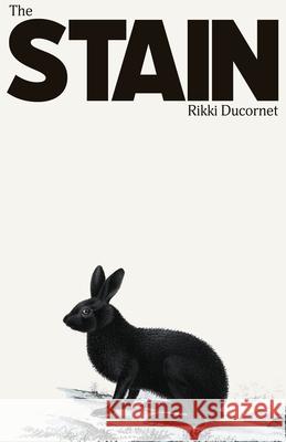 The Stain Rikki Ducornet 9781628975659 Dalkey Archive Press - książka